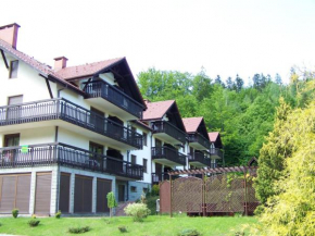 Отель Apartment Górska 54, Щирк